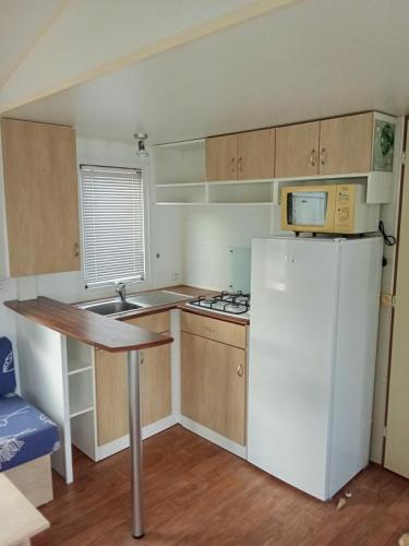 O'Phea T 2 Bedrooms 31.00 m² 3