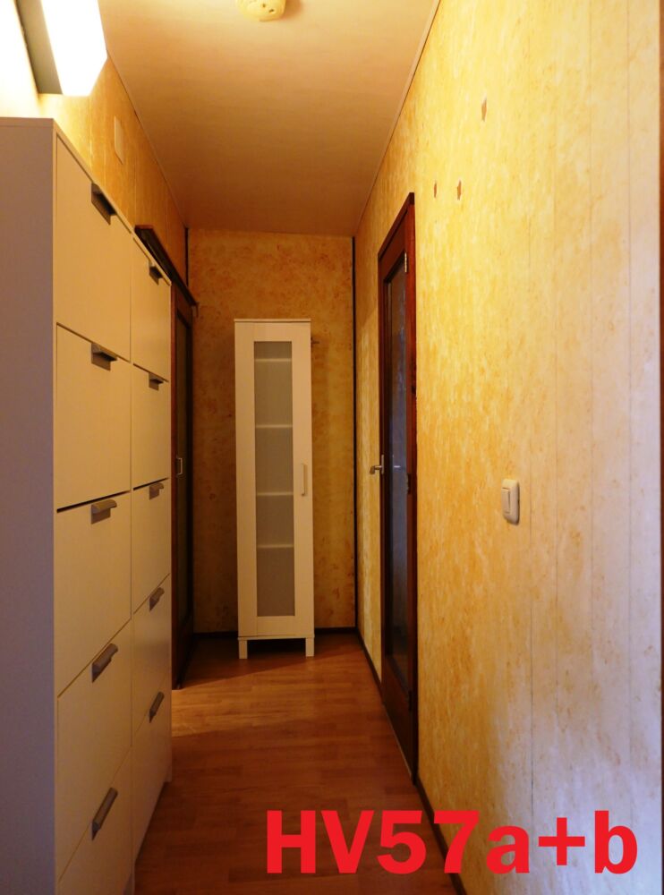 HV57a+b L 2 Bedrooms 48.96 m² 6
