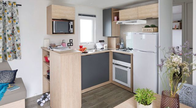 Rapidhome Lodge 100 3 Bedrooms 38.80 m² 3